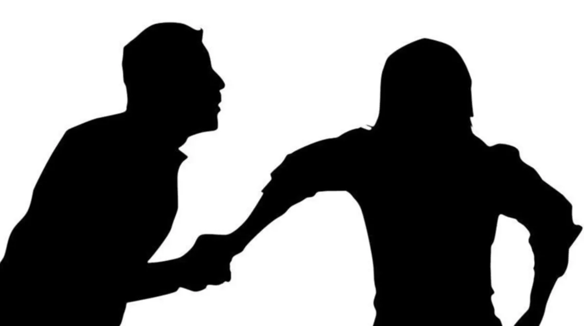 Türkiye’de Kadına Yönelik Şiddet Araştırması Sonuçlandı1