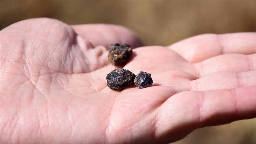 Türkiye'nin Ilk Nadir Toprak Elementleri Enstitüsü Faaliyette 1