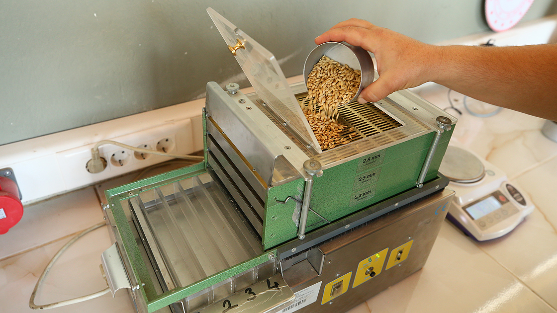 Yulaf Ve Tam Buğday Sanıldığı Kadar Masum Değil 1