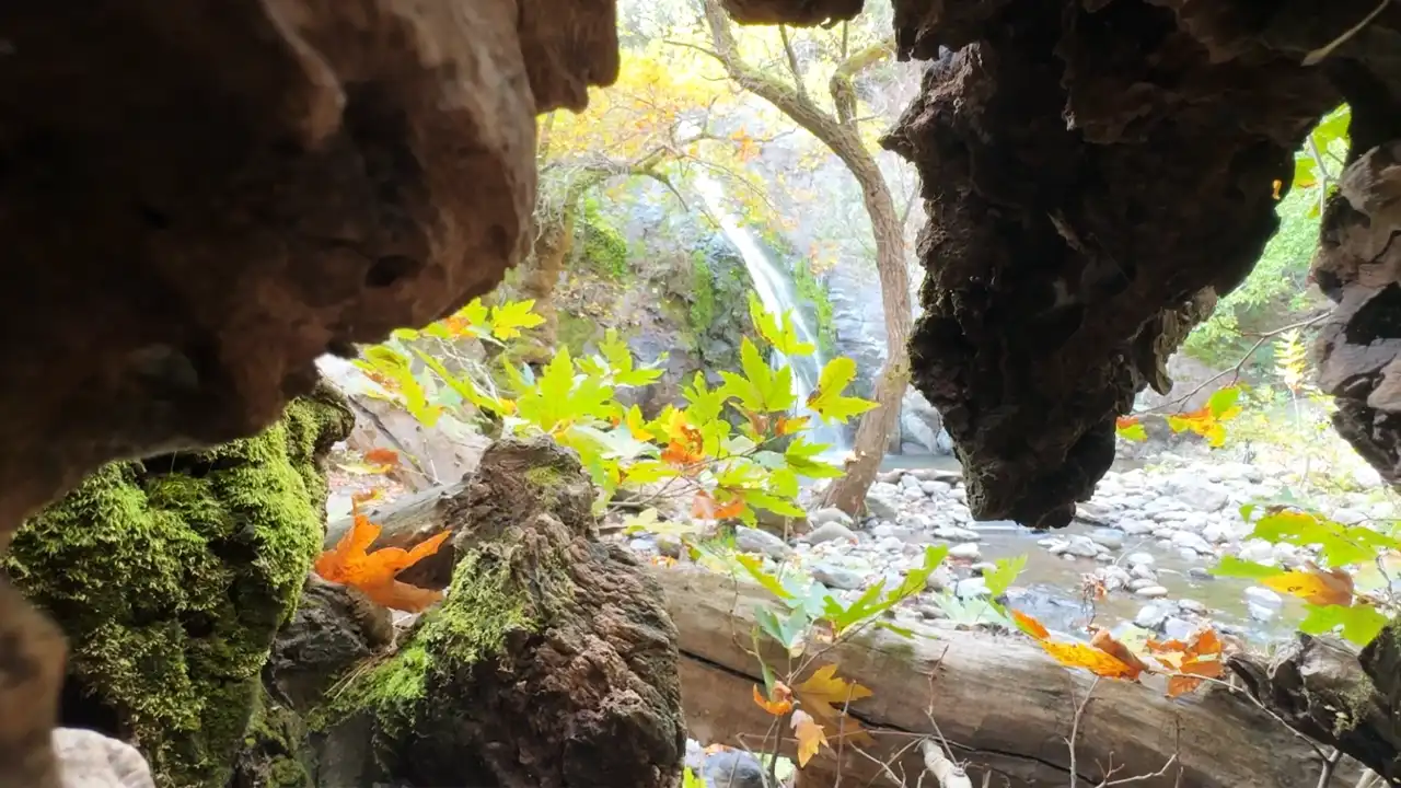 Yunt Dağları Sonbaharda Renk Cümbüşüne Büründü2