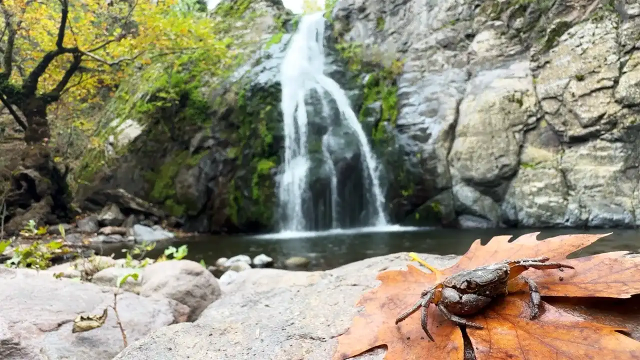 Yunt Dağları Sonbaharda Renk Cümbüşüne Büründü3