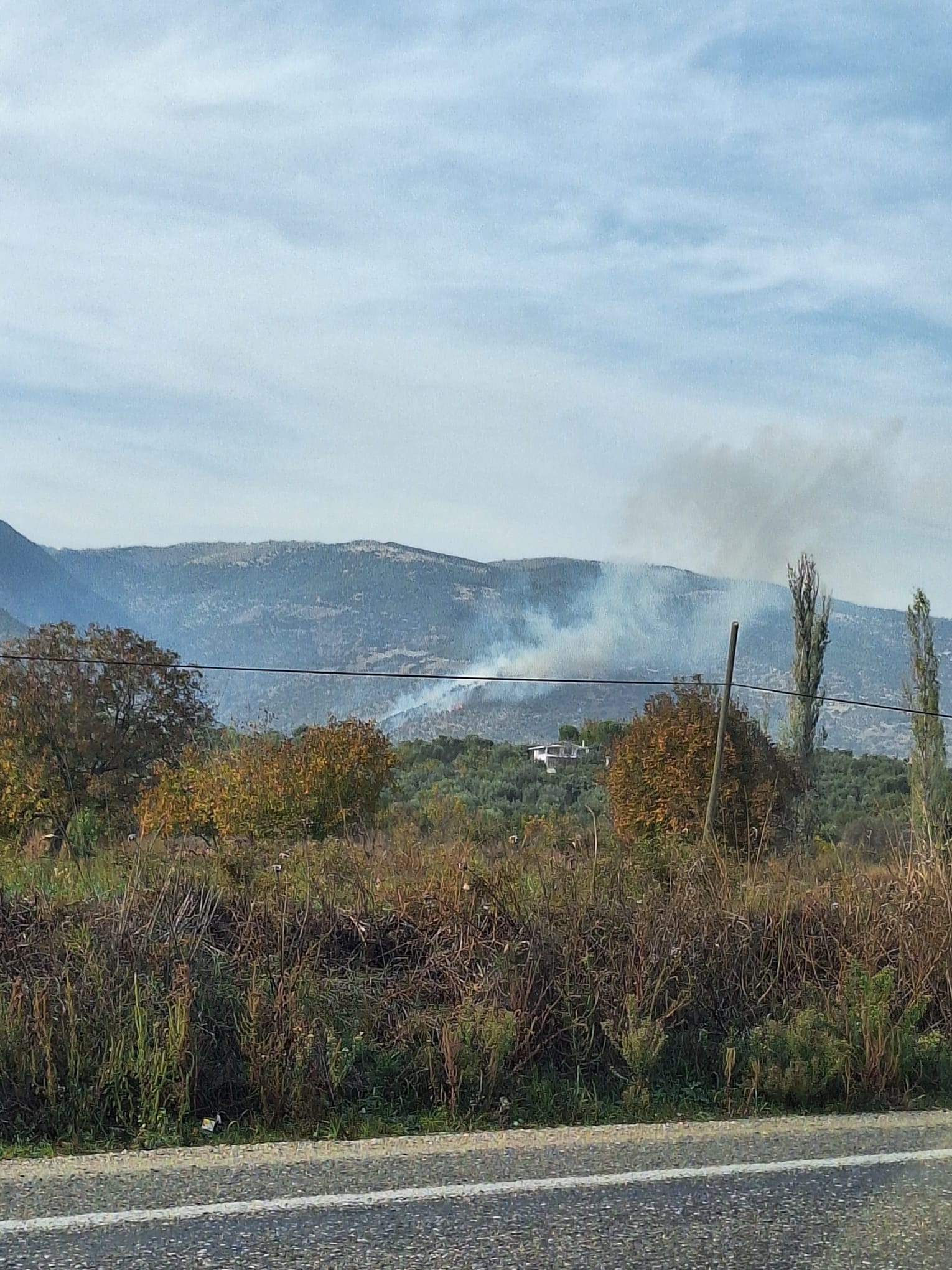 Aydın'da Ziraat Alanında Çıkan Yangına Müdahale Ediliyor (1)
