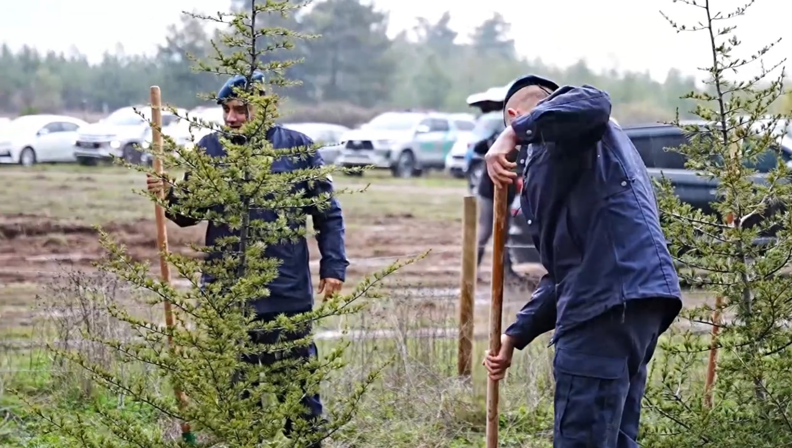 Balıkesir Sındırgı’da Fidanlar Toprakla Buluştu