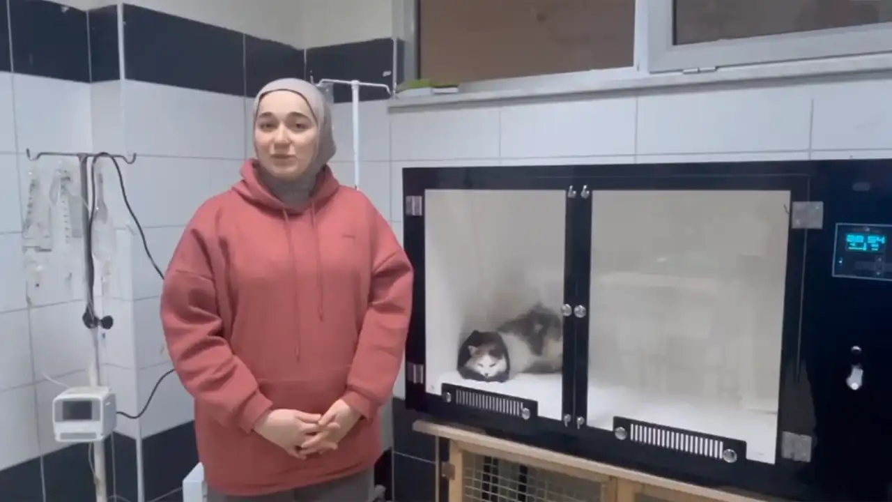 Balıkesir’de Damağı Yarılan Kedi Nadir Teknikle Tedavi Edildi2