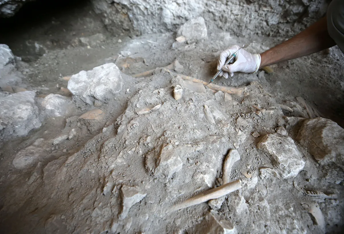 Bitlis’teki Delikli Mağara’da 8 Bin Yıllık Yaşam Izleri Bulundu2