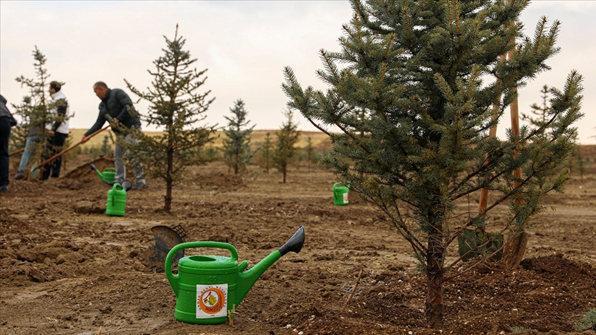 Bursa’da 3 Milyon 250 Bin Fidan Toprakla Buluşacak1