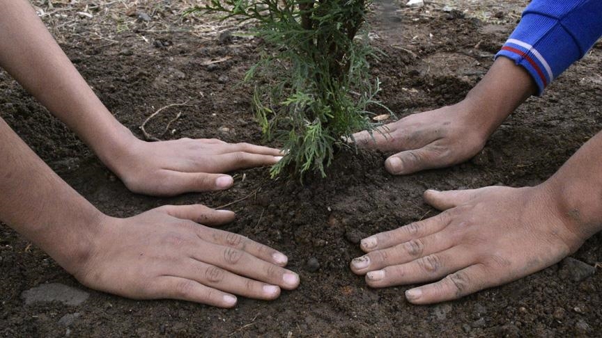 Bursa’da 3 Milyon 250 Bin Fidan Toprakla Buluşacak2