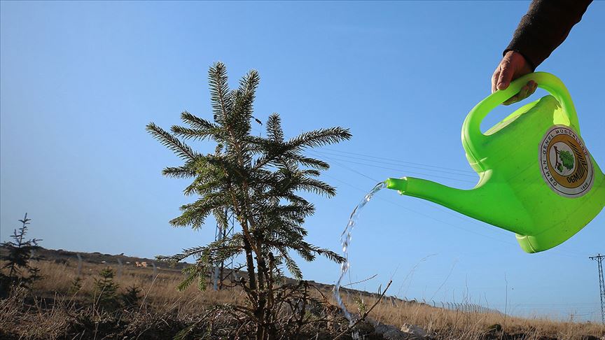 Bursa’da 3 Milyon 250 Bin Fidan Toprakla Buluşacak3