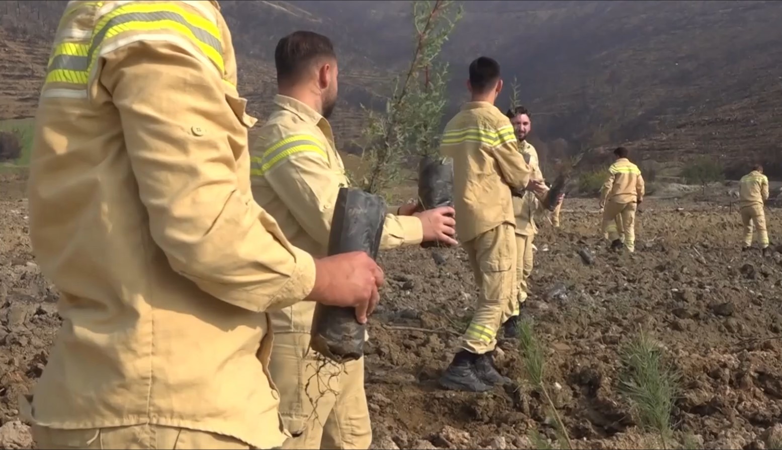 Bursa'da Yıllar Önce Yanan Ormanlık Alanlar Yeniden Yeşeriyor 2