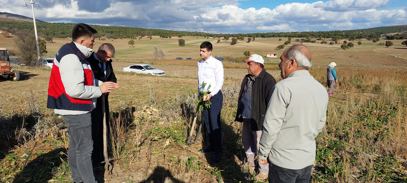 Dumlupınar Kaymakamından Şeker Pancarı Hasadını Incelemesi2