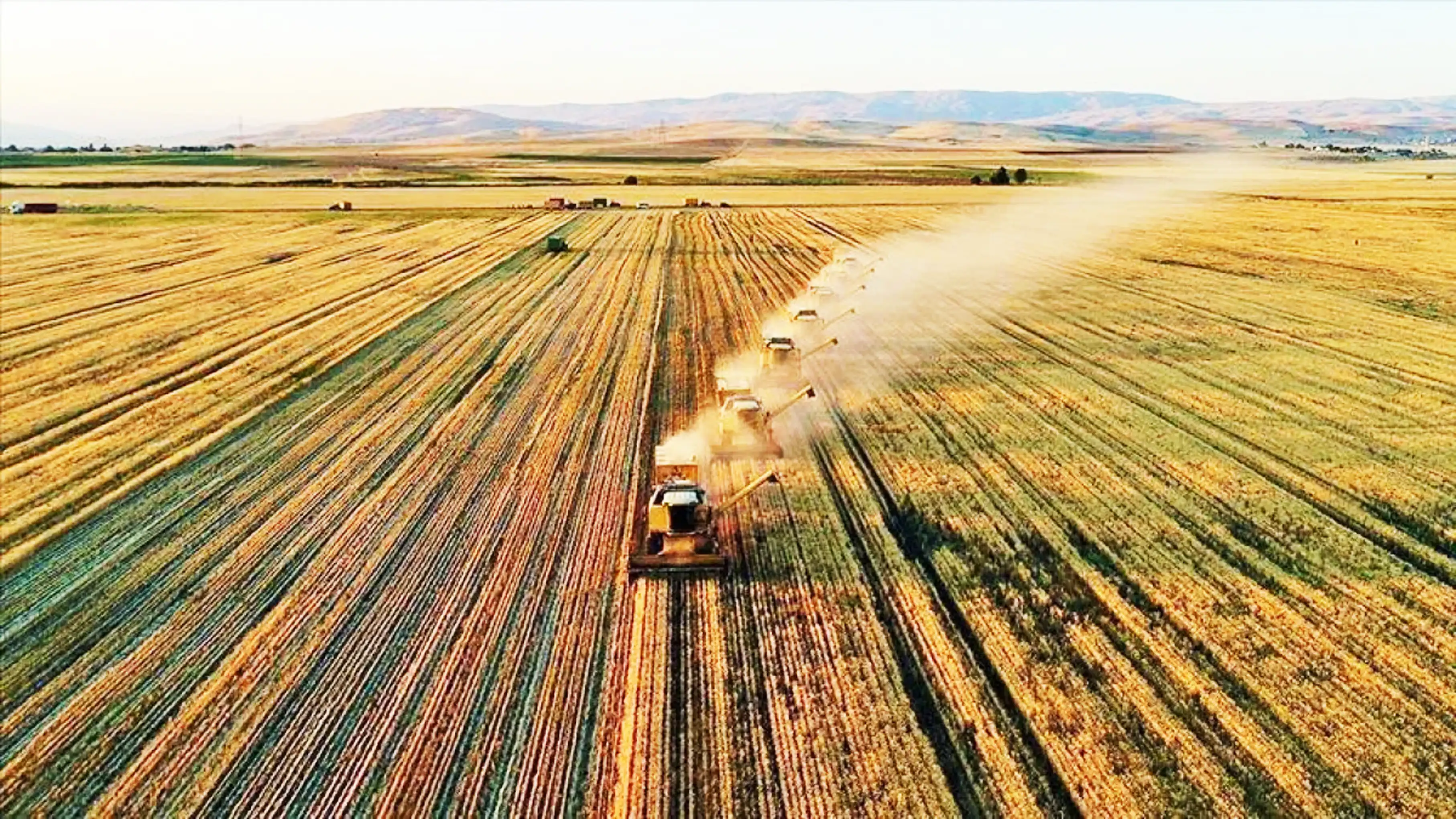 Ekimde Üreticilere 11,6 Milyar Lira Tazminat Ödemesi Yapıldı 1