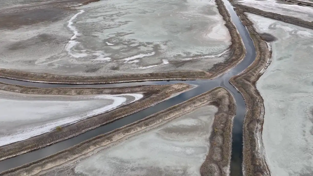 Eskişehir Kavuncu Kuş Cenneti Kuraklıktan Etkileniyor