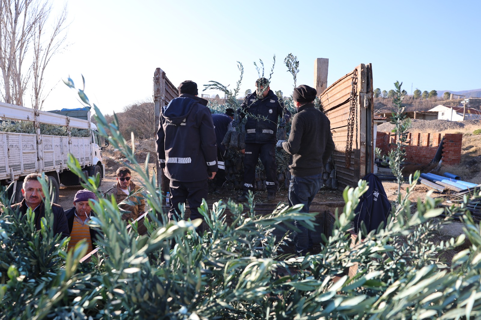 Eskişehir’de Üreticiye Zeytin Fidanı Desteği Başlıyor1