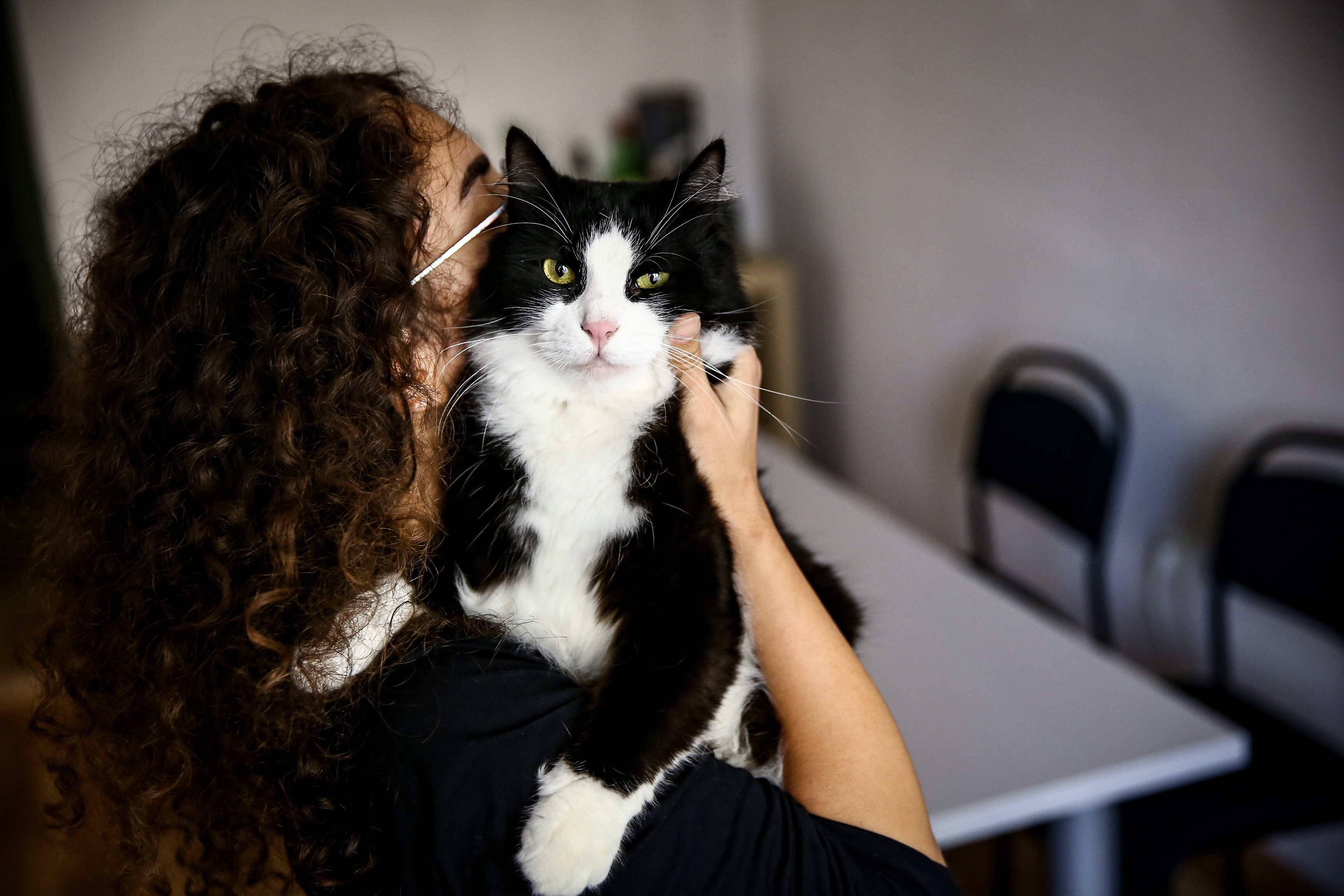 Evcil Hayvanla Uyumanın Gizli Riski3