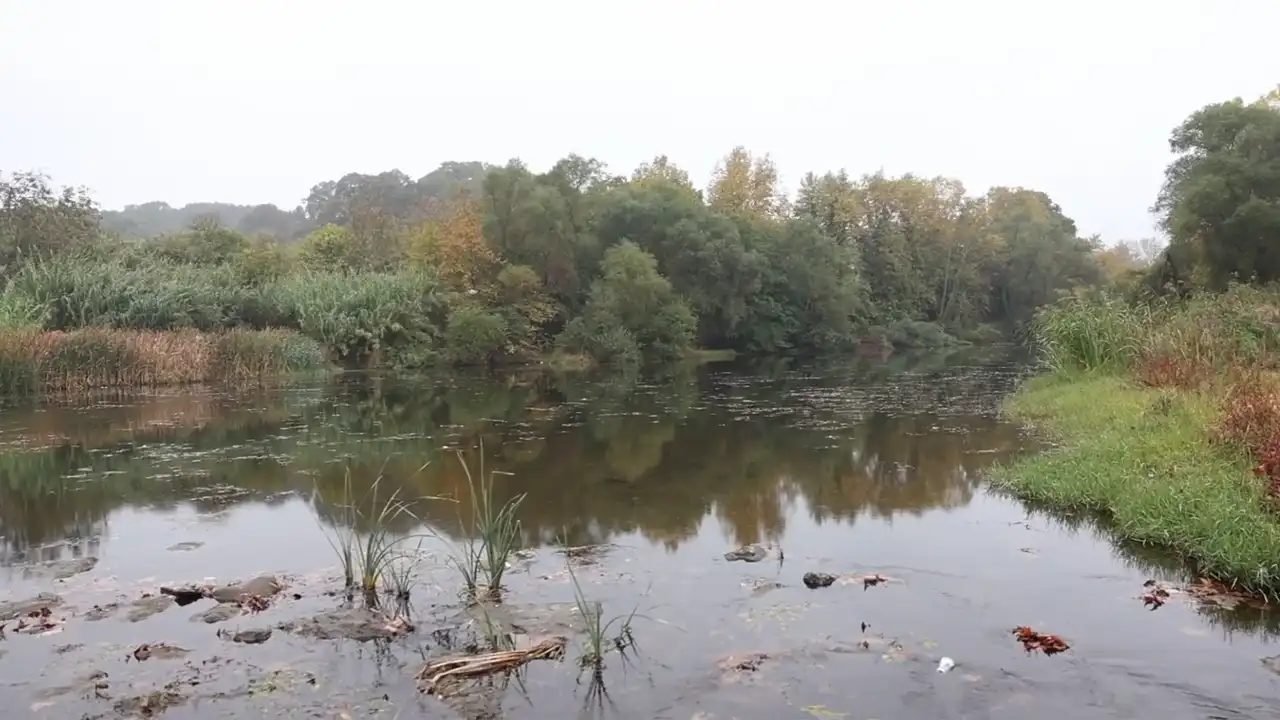Gönen Çayı’nda Kirlilik Uyarısı “Marmara Denizi De Etkileniyor”1