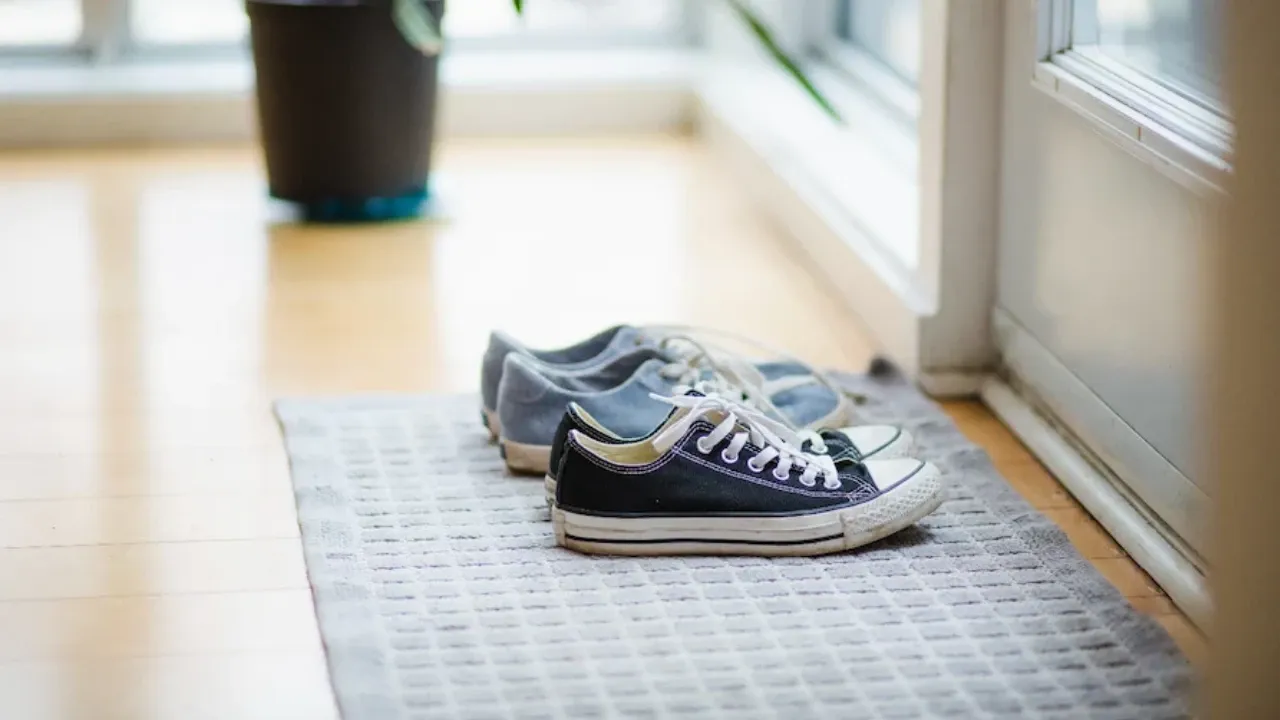 İşte Bu Yüzden Avrupa’da Evlere Ayakkabıyla Giriliyor 1