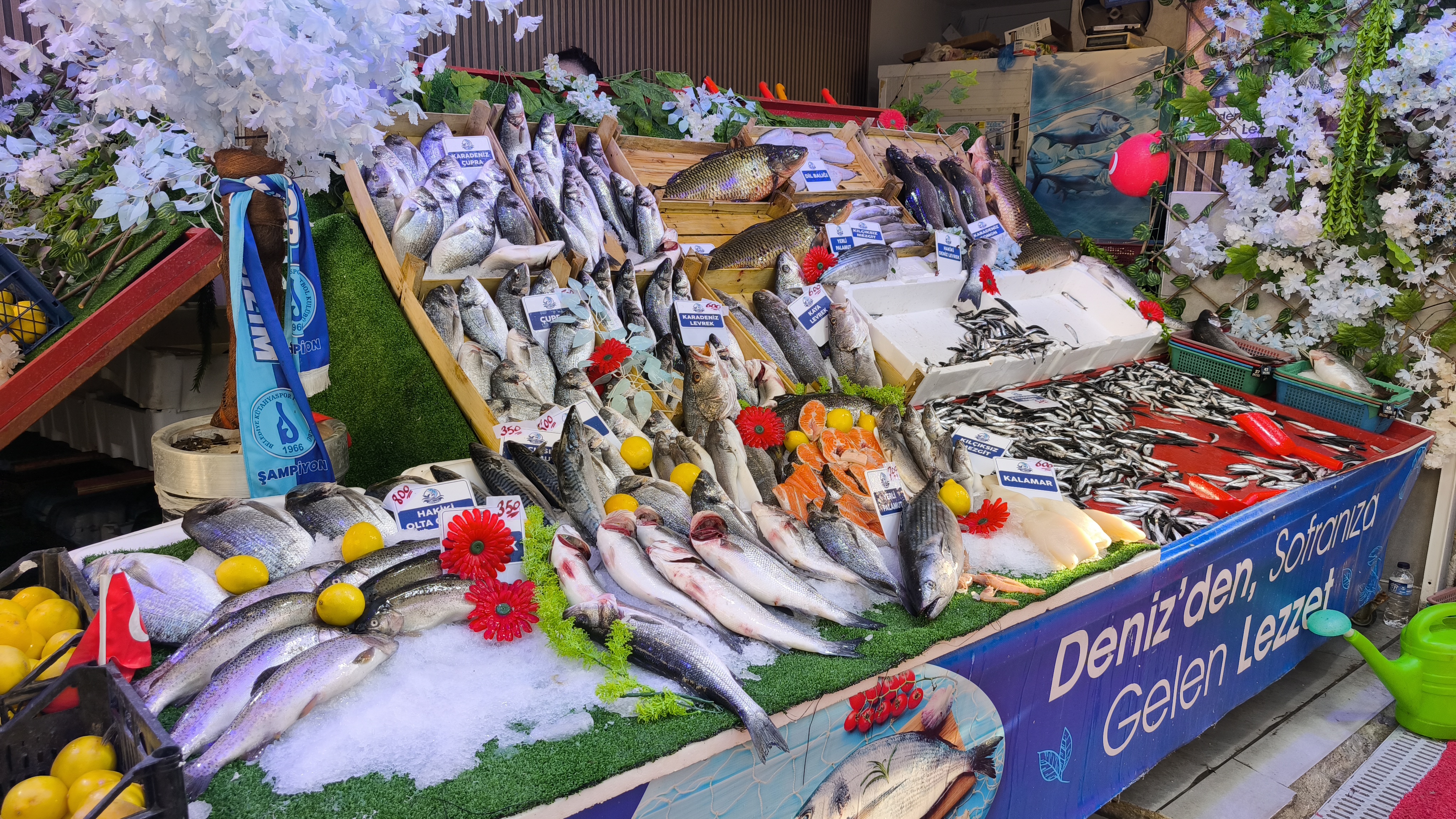 Kasım’da Hangi Balık Yenir, Kütahya’da Uzmanı Açıkladı1 (2)