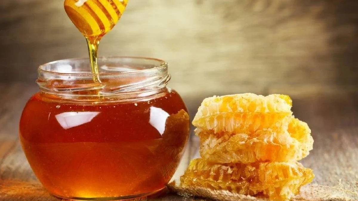 Koca Orduyu Bile Devirmişti Cnn’den “Deli Bal” Haberi 1