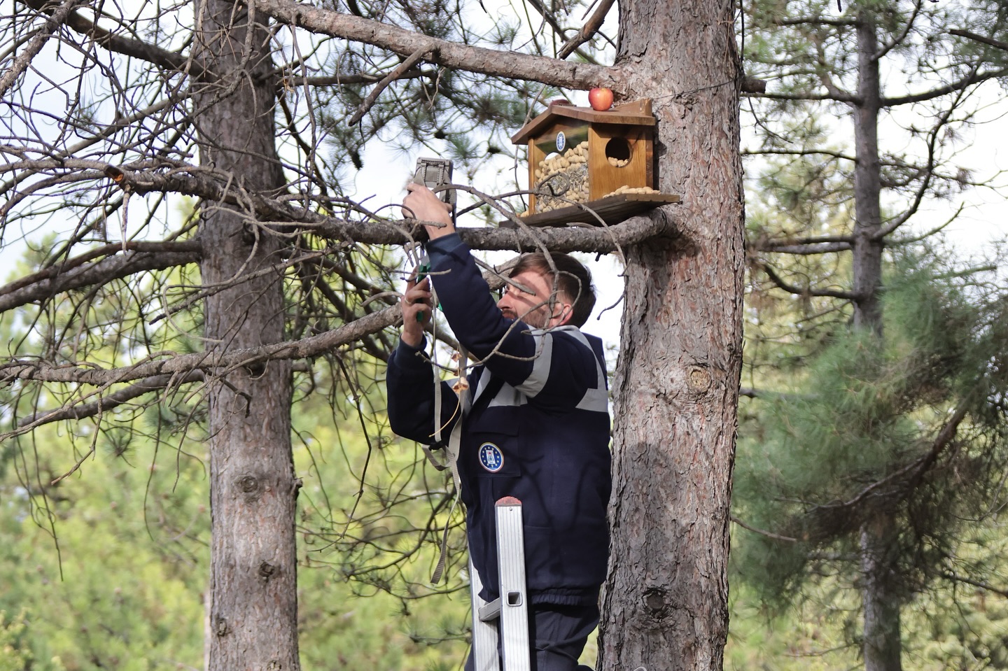 Kütahya Belediyesi’nden Yaban Hayata Kış Desteği2