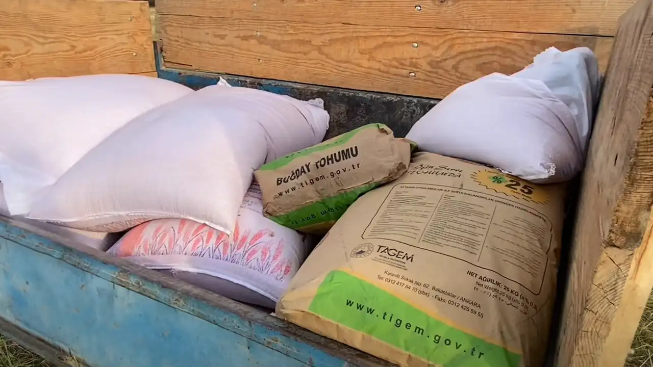 Kütahya Domaniç’te Bayraktar Buğdayı Deneme Ekimi1-1