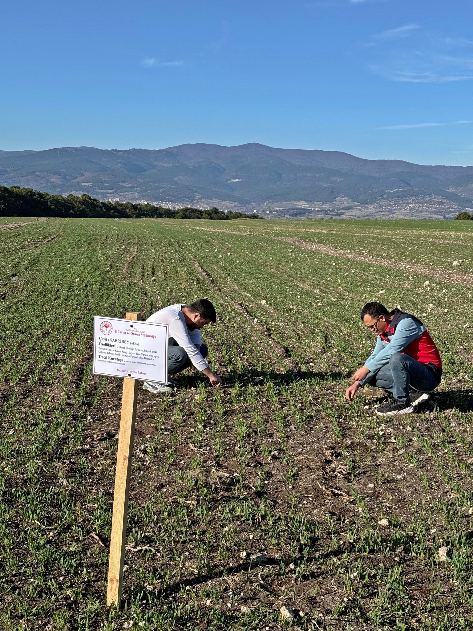 Kütahya Domaniç’te Fenolojik Gözlemler Sürüyor1