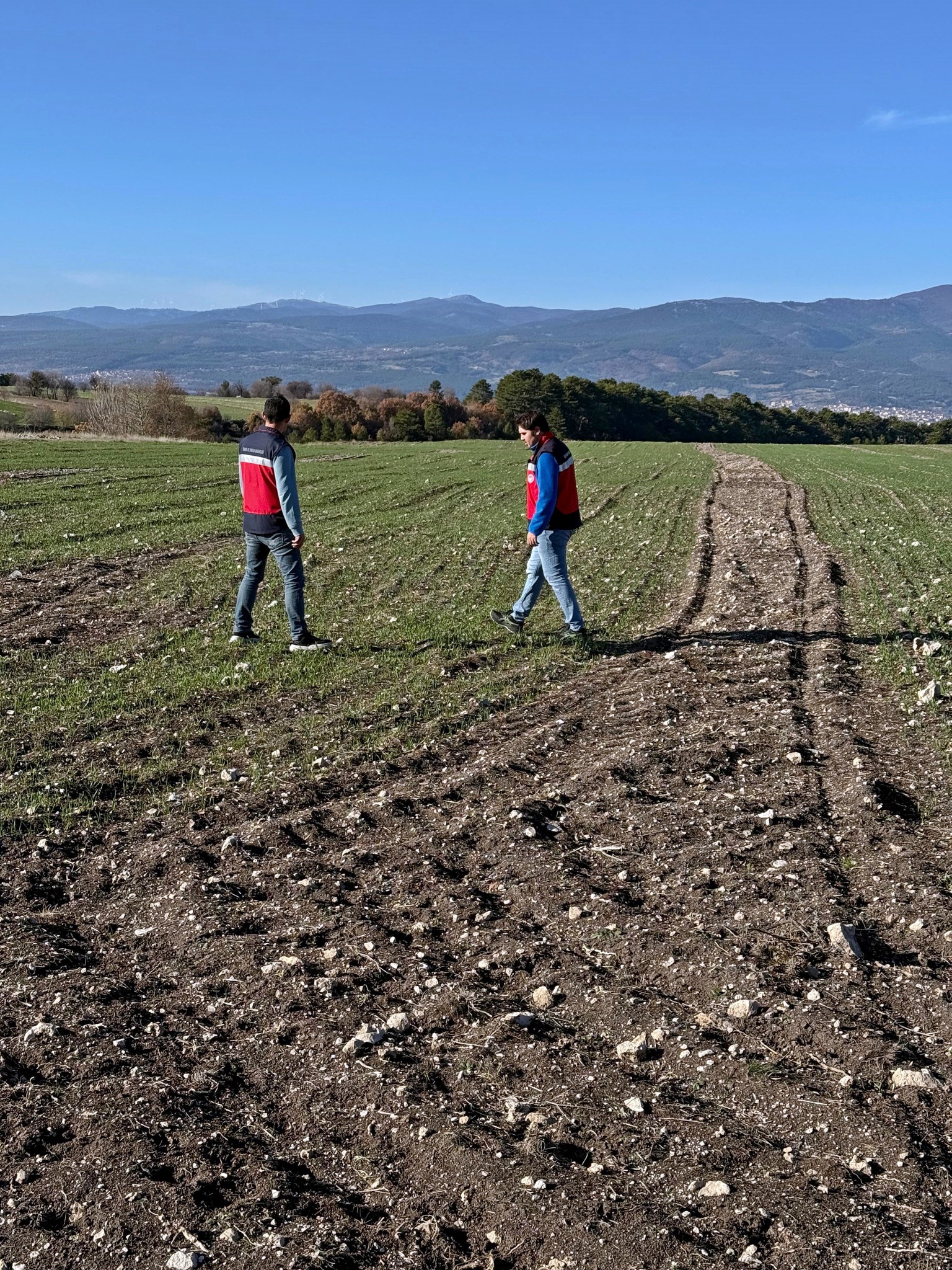 Kütahya Domaniç’te Fenolojik Gözlemler Sürüyor2