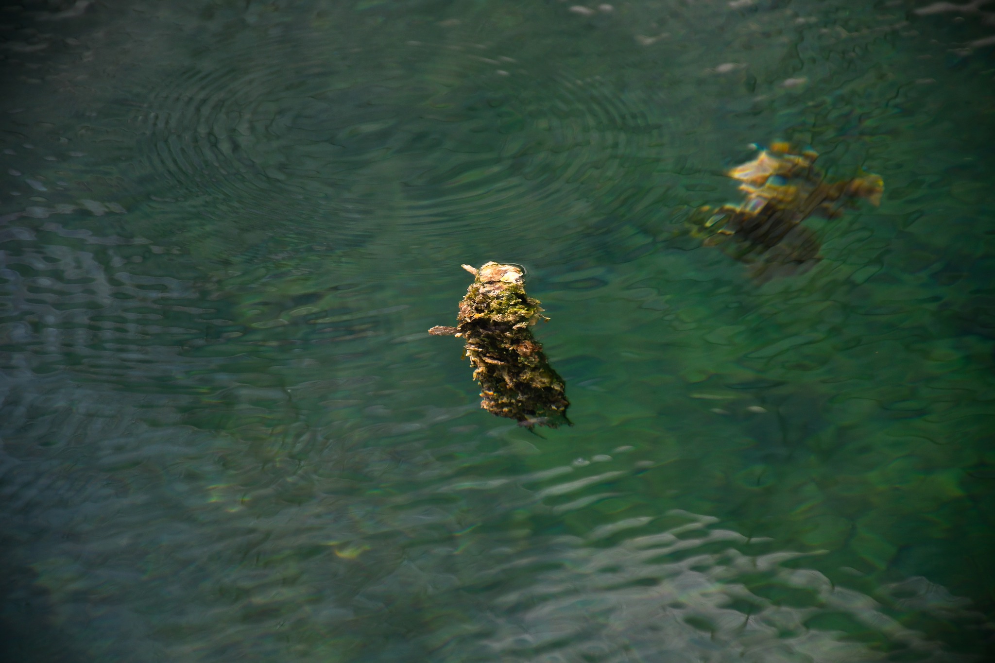Kütahya Emet’te Yosunlu Havuz Yeniden Hizmette2