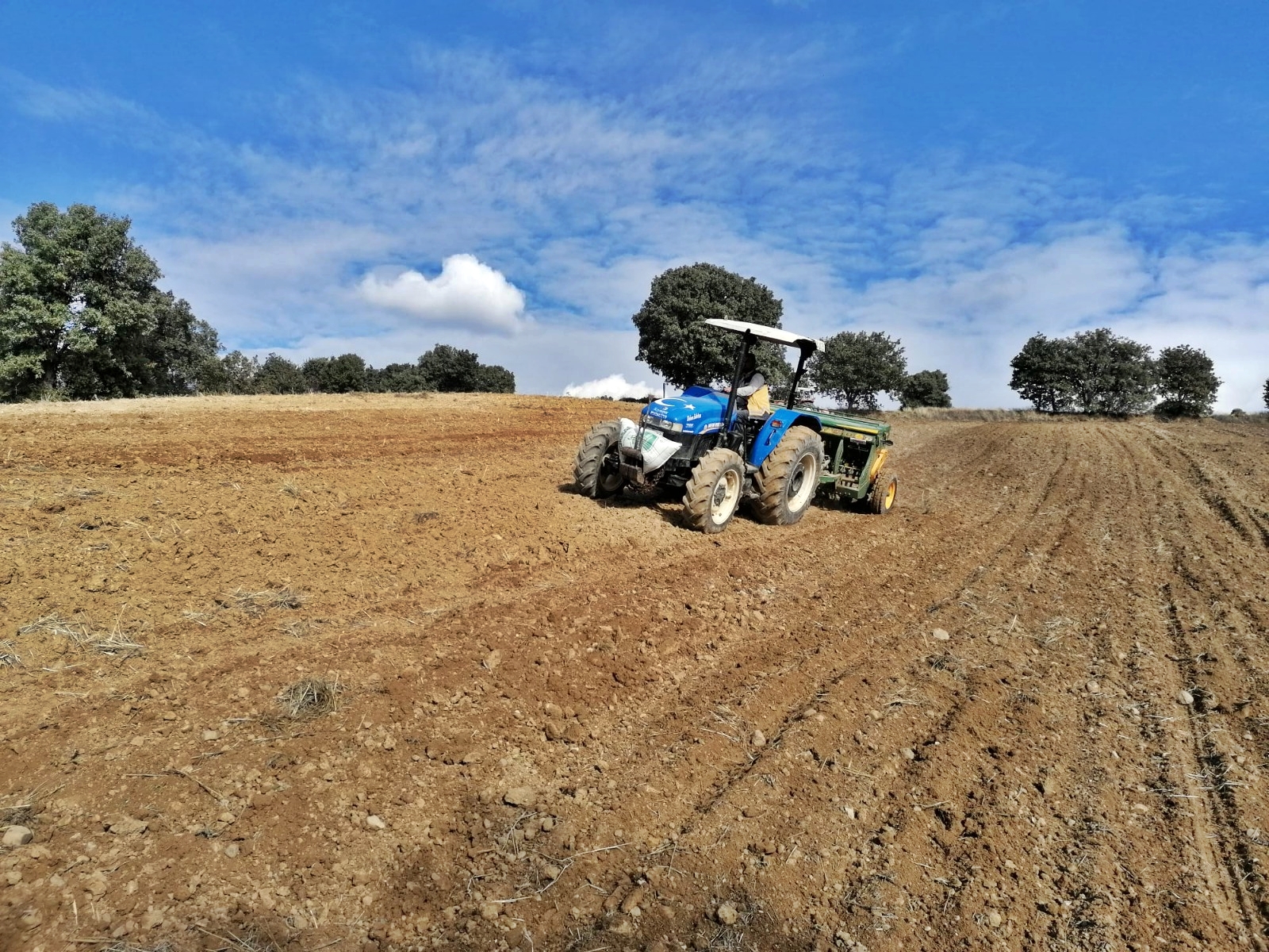 Kütahya Gediz’de Buğday Demonstrasyon Ekimleri Yapıldı2