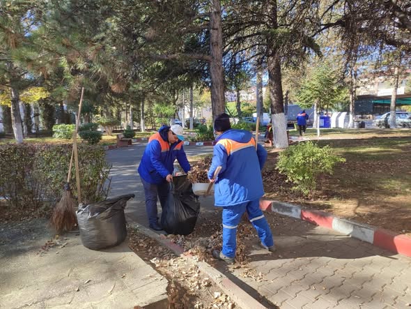 Kütahya Gediz’de Yeşil Alanlarda Temizlik Ve Budama Sürüyor 1