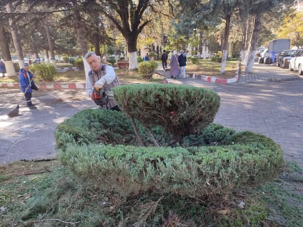 Kütahya Gediz’de Yeşil Alanlarda Temizlik Ve Budama Sürüyor 2