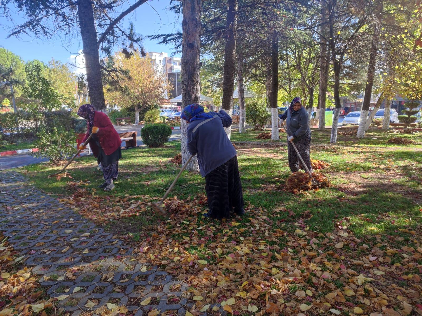 Kütahya Gediz’de Yeşil Alanlarda Temizlik Ve Budama Sürüyor 3