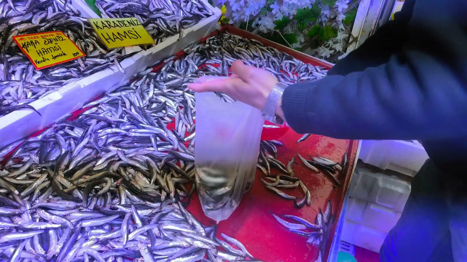 Kütahya’da Indirimli Hamsi Kampanyasına Yoğun Ilgi 1