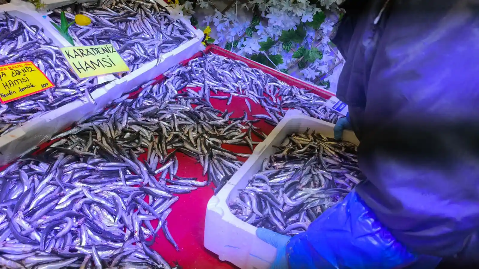 Kütahya’da Indirimli Hamsi Kampanyasına Yoğun Ilgi