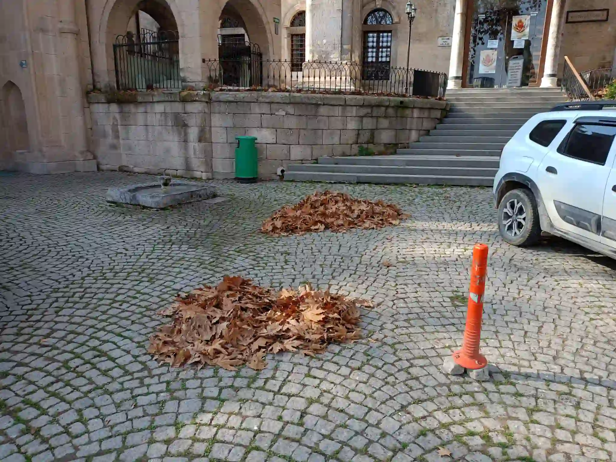 Kütahya’da Sonbahar Yaprakları Temizleniyor 1