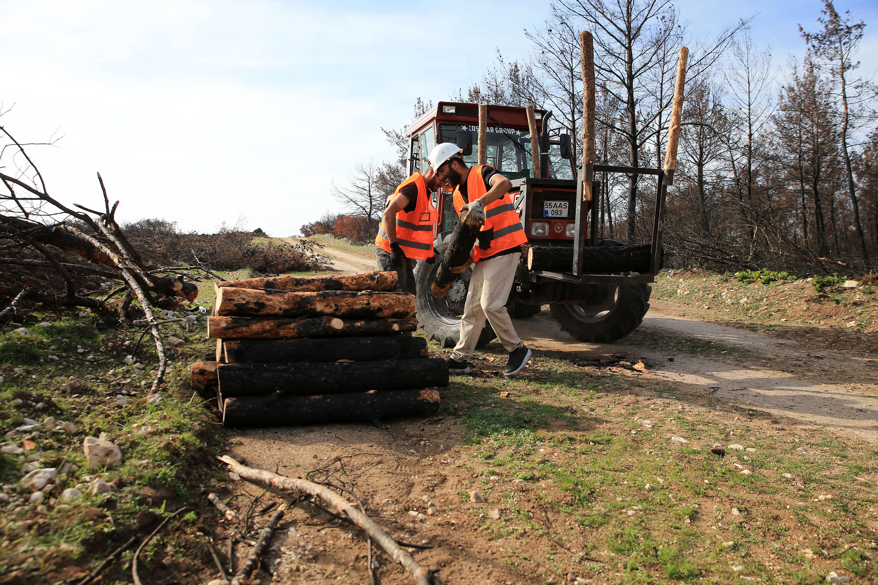 Manisa’da Yanan Ormanlar Yeniden Hayat Buluyor
