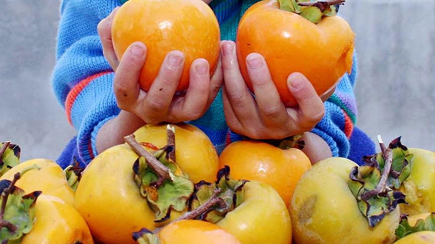 Yeni Trend Atıştırmalık Kapış Kapış Satılıyor