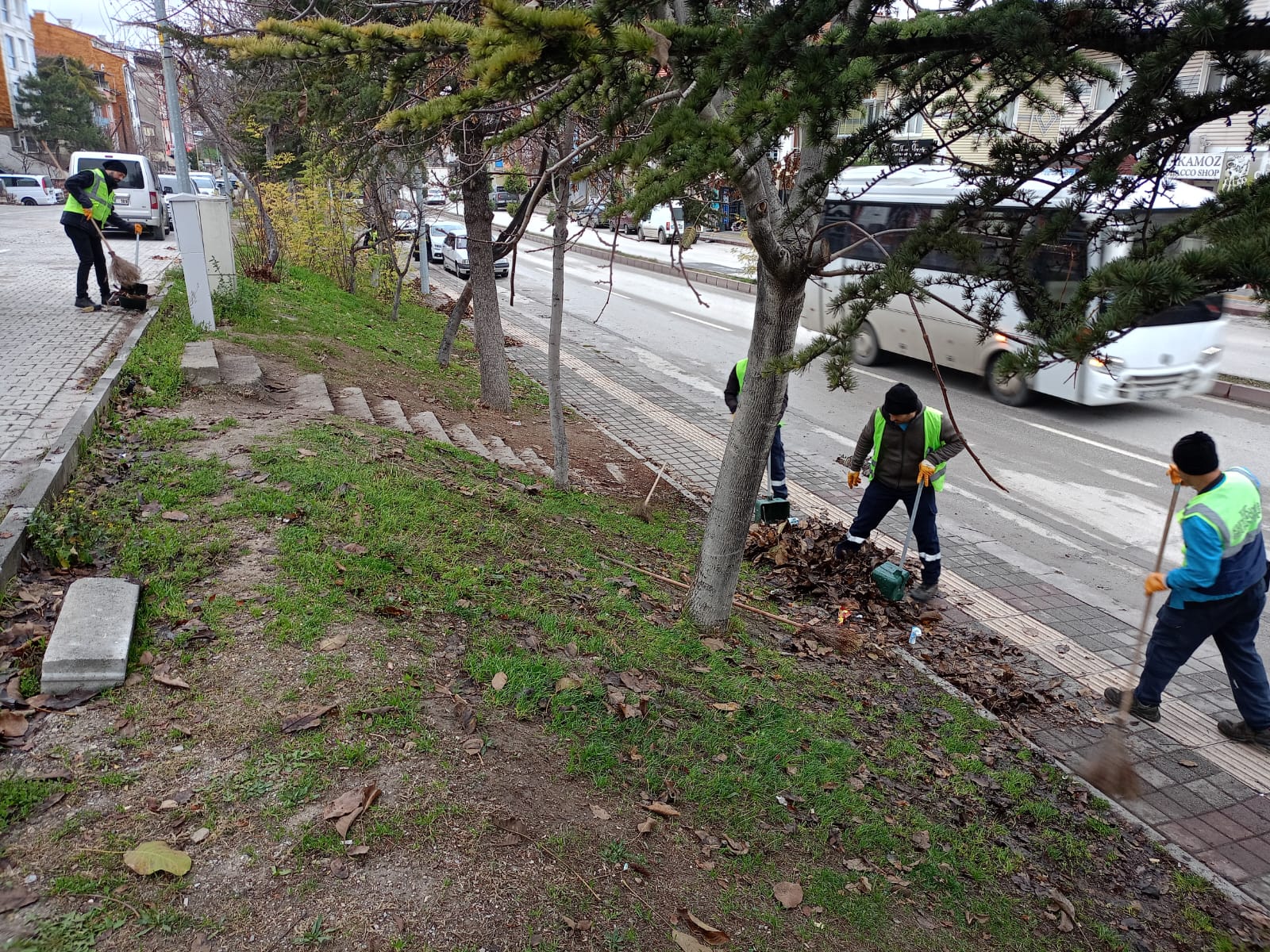 A75E08Bf 907D 40B6 9Bde 73358C7Bc61C