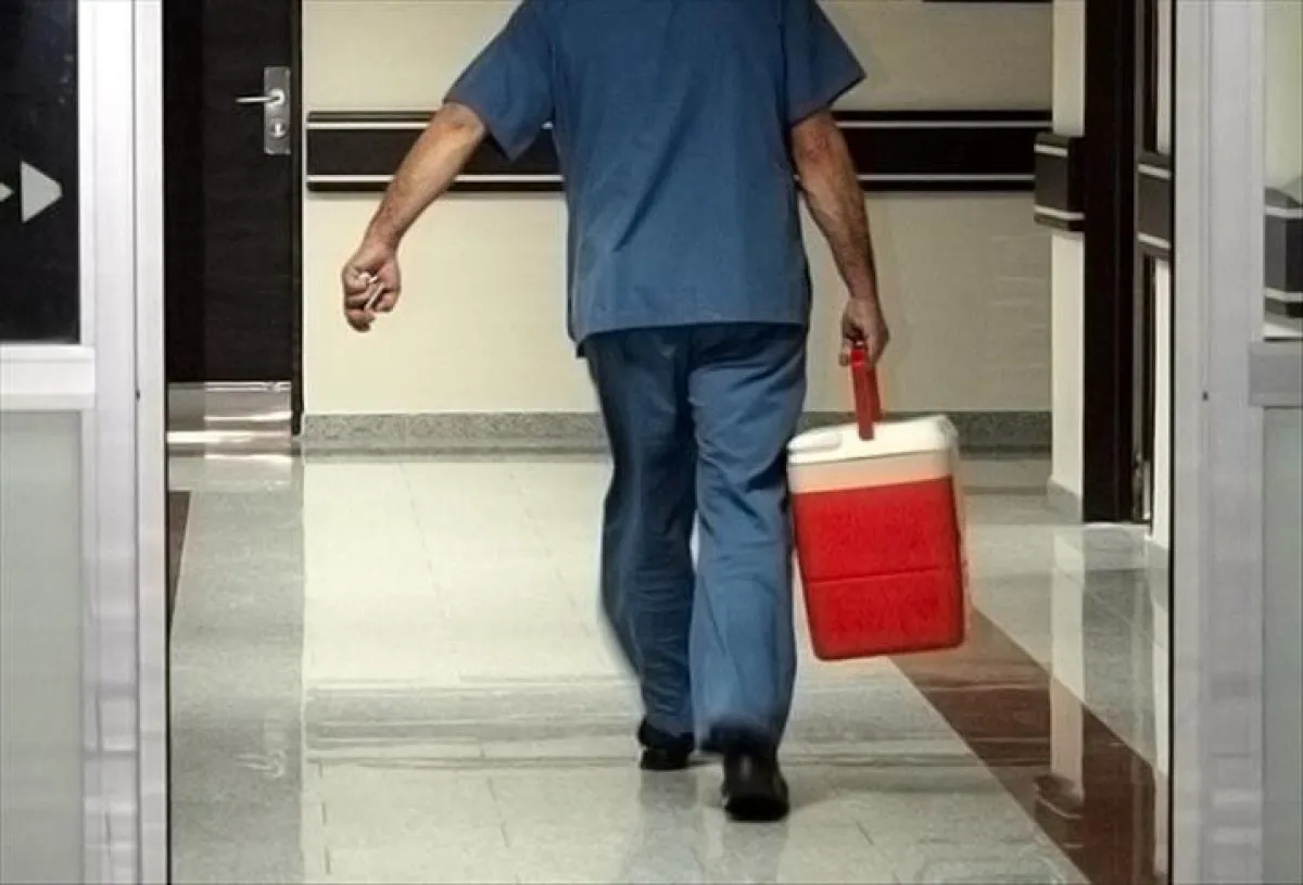Abd'de Kuduzlu Böbrek Nakli Hasta Yaşamını Yitirdi1