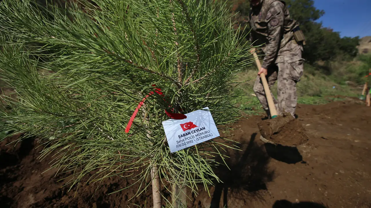 Aydın’da Şehitler Için 333 Fidan Toprakla Buluşturuldu 4