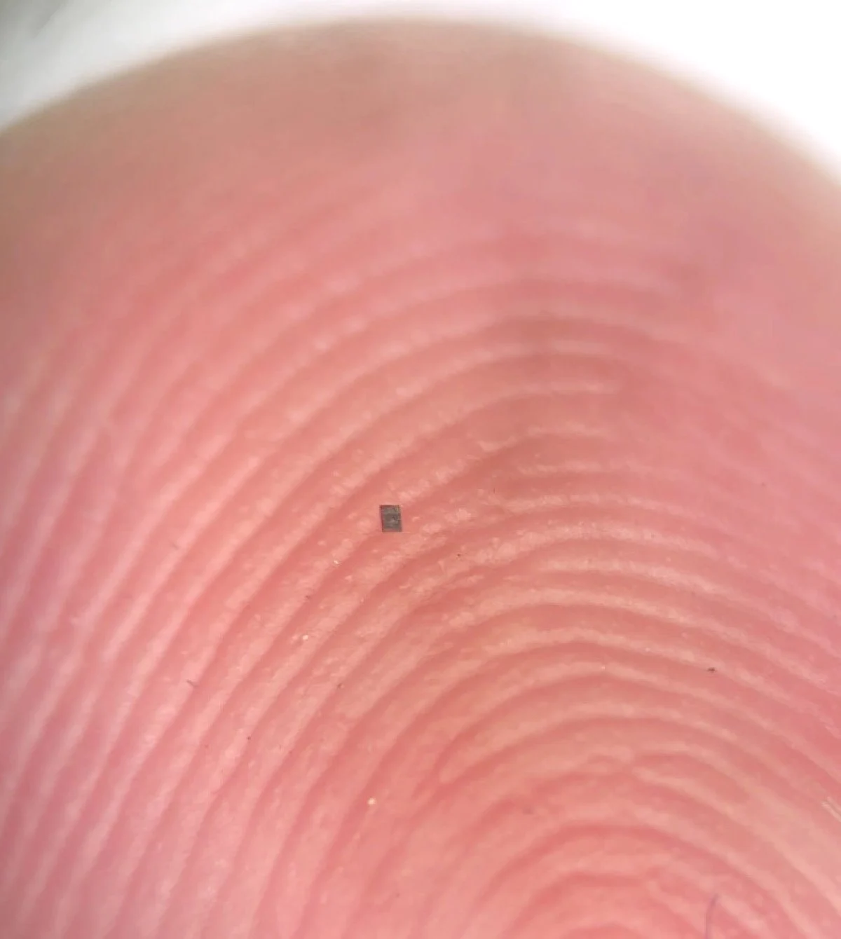 Bilim Insanları En Küçük Robotları Üretti1