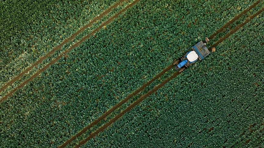 Çiftçilere 1,1 Milyar Liralık Destek Ödemesi Bugün Hesaplarda