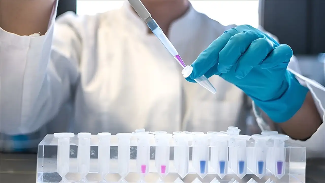 Dsö 2024’Te 1,3 Milyon Kişi Aids Hastalığına Yakalandı