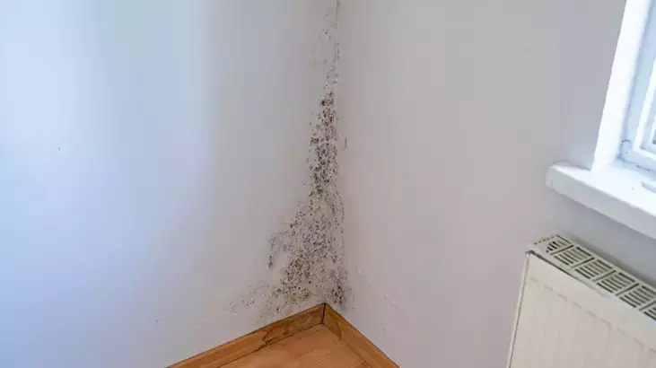 Evi dakikalar içinde 2-3 derece ısıtacak dahiyane yöntem