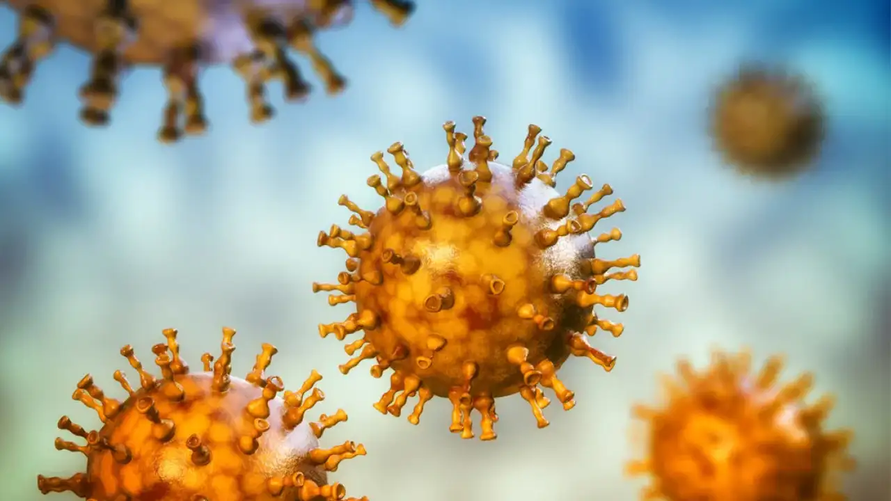 H3N2 Virüsü Hızla Yayılıyor Türkiye Için Uyarı Yapıldı