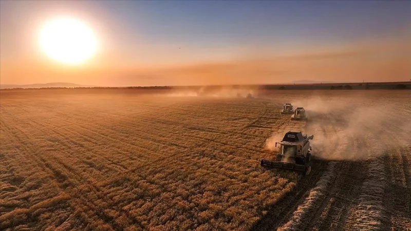 Ipard Iii Kasım Desteği Üreticiye Ulaştı