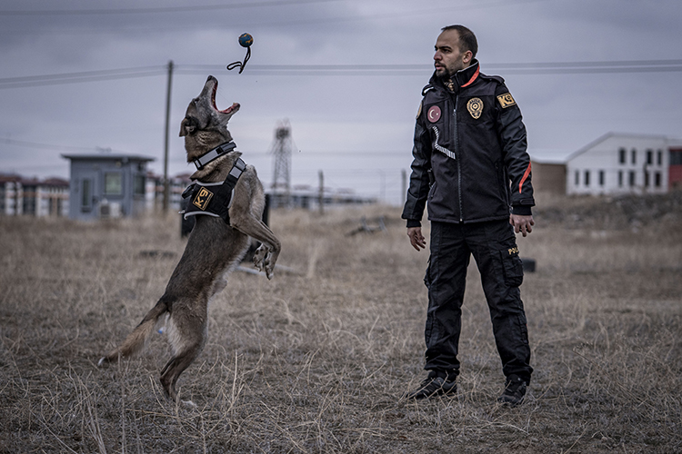 Kadavra Köpeği Melo, Depremden Cinayete Iz Sürüyor 1