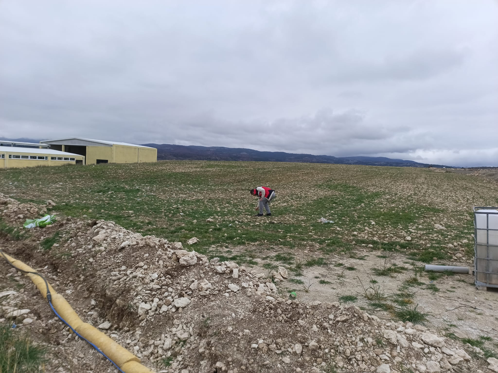 Kütahya Emetde Arpa Tarlalarında Fenolojik Gözlem Yapıldı