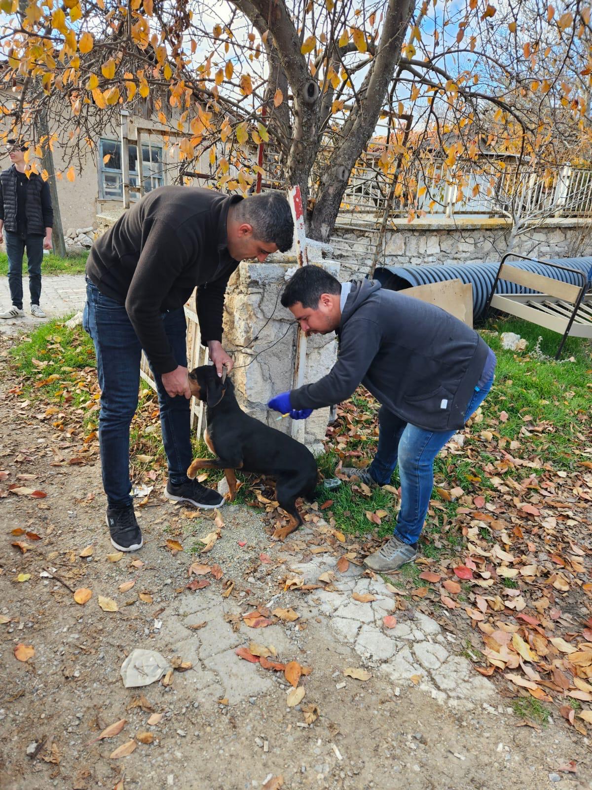 Kütahya Emetde Köylerde Ev Hayvanlarına Mikroçip Ve Aşılama