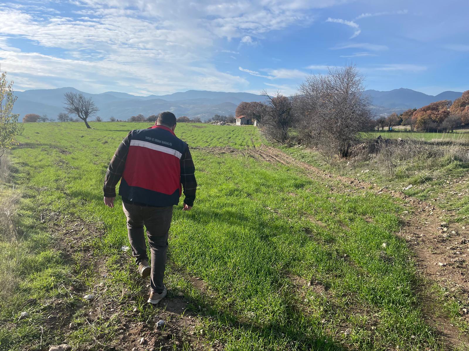 Kütahya Emet’te Buğday Tarlalarında Fenolojik Izleme2