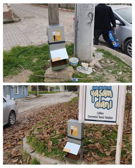 Kütahya Gediz’de Sahipsiz Canlara Destek Beslenme Noktaları Yerleştirildi 1